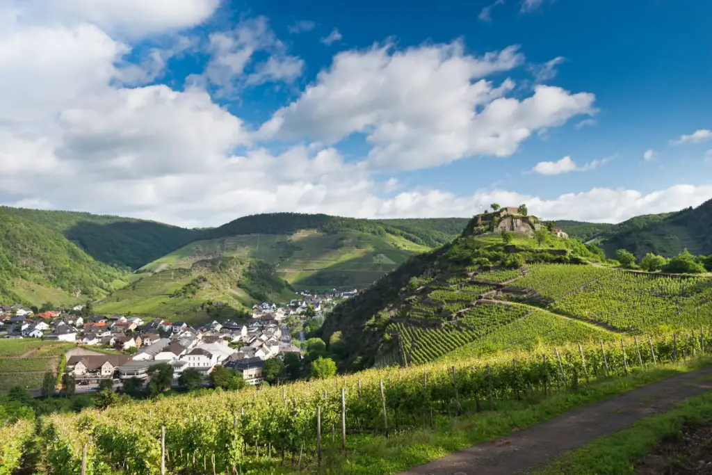 Blick auf das Ahrtal, Mayschoß und die Saffenburg