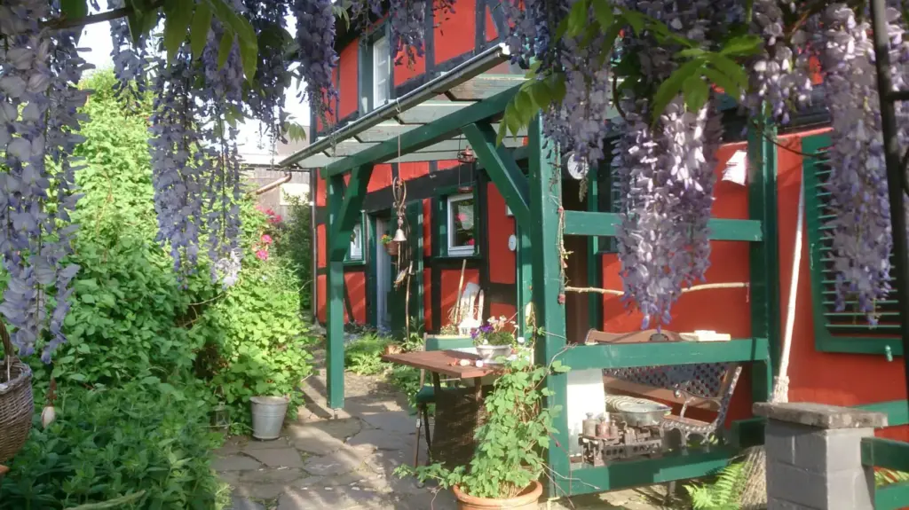 Rotes Fachwerkhaus Überdachte Terrasse mit Blauregen